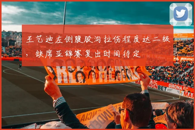 王艺迪左侧腹股沟拉伤程度达二级，缺席亚锦赛复出时间待定